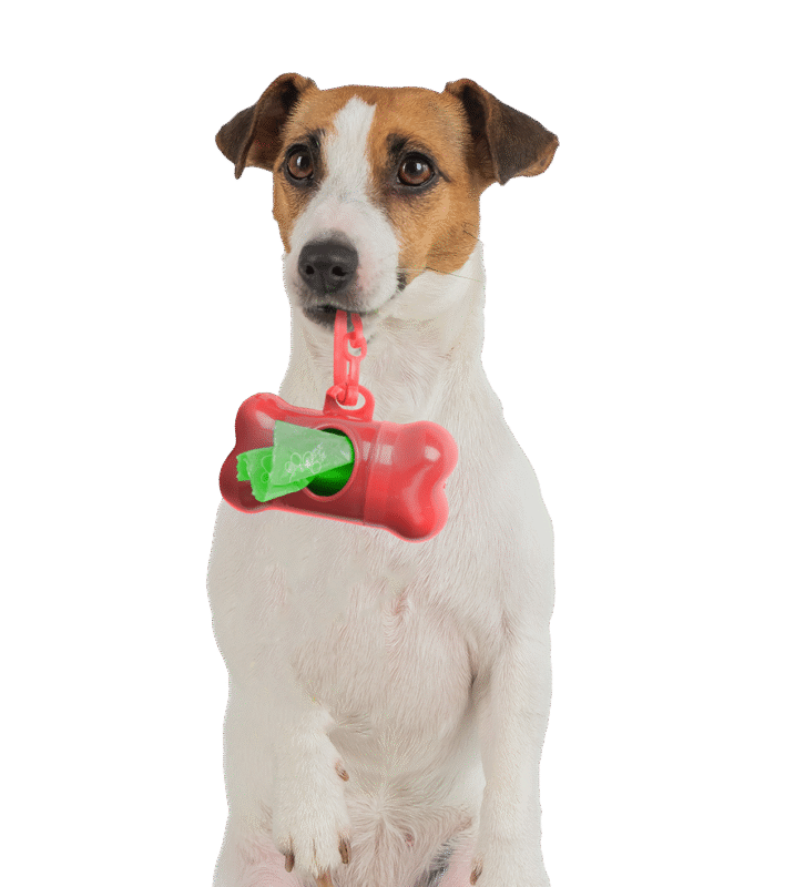 perrito-contenedor 1